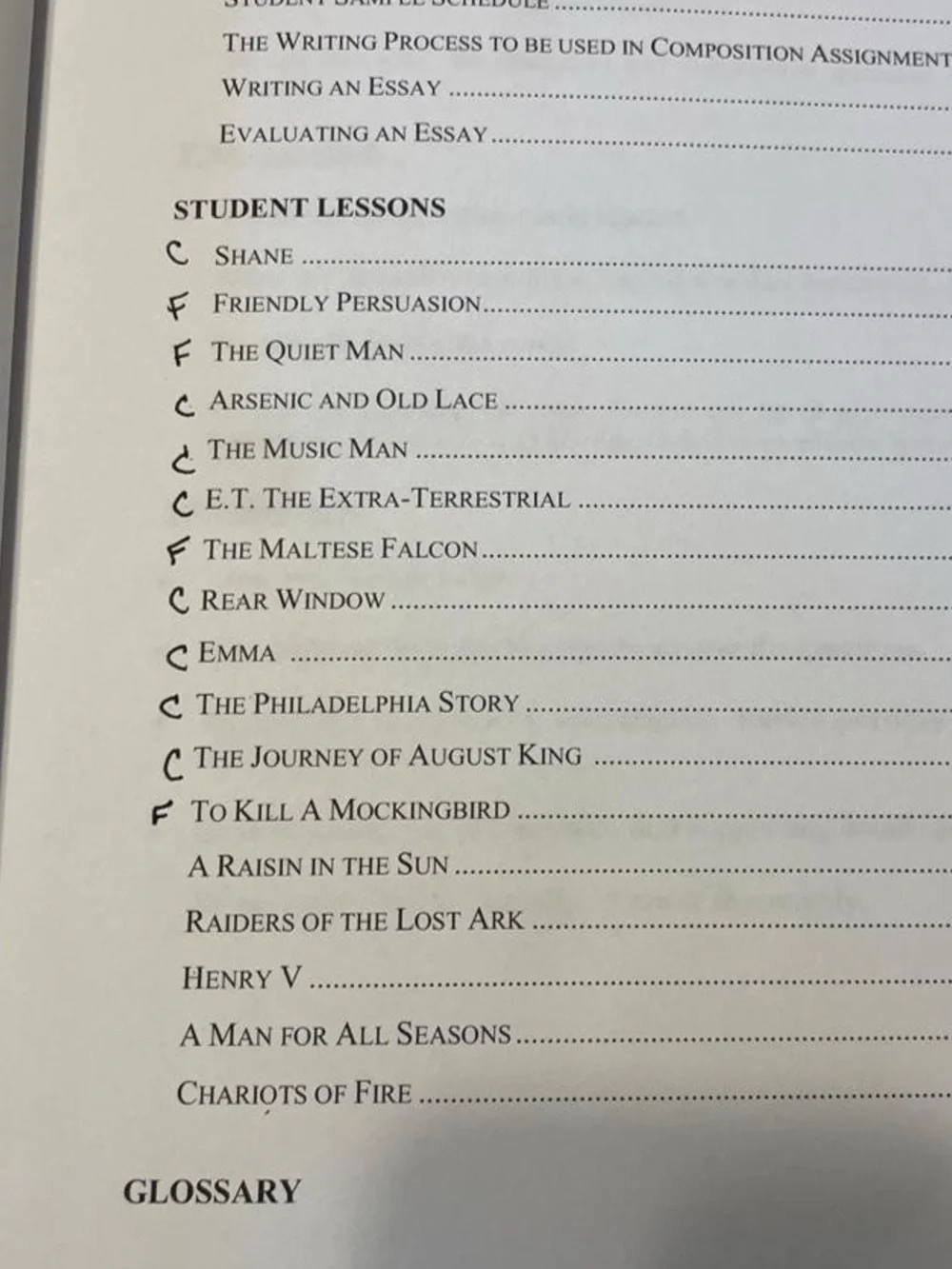 Movies as Literature Homeschool Course Student Workbook Set of 2 Books Stout